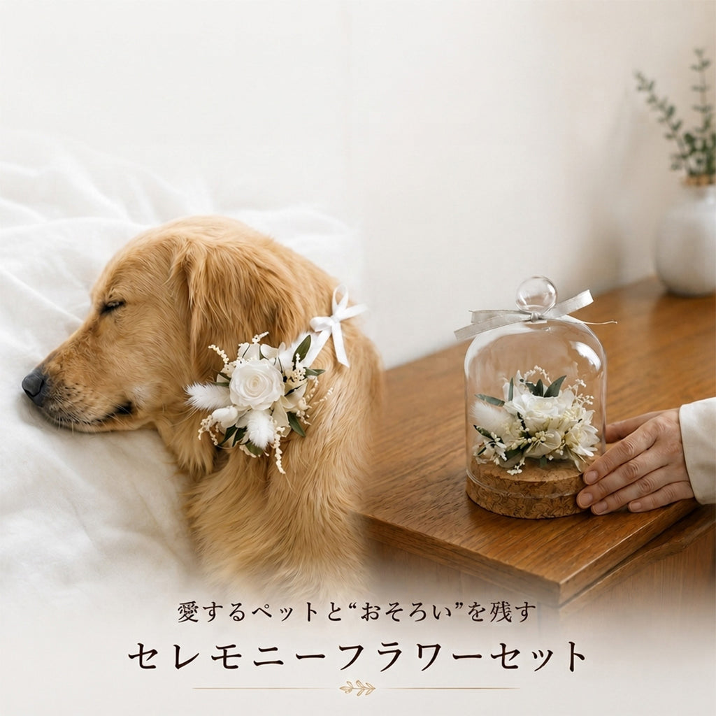 【2点セット】愛犬・愛猫と偲ぶリボンアレンジ＆ドーム(全6色)