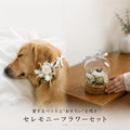 【2点セット】愛犬・愛猫と偲ぶリボンアレンジ＆ドーム(全6色)